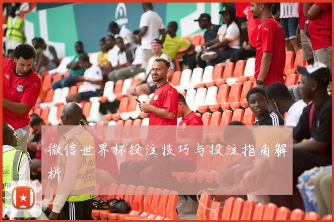 微信世界杯投注技巧与投注指南解析