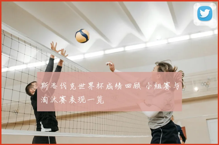 斯洛伐克世界杯成绩回顾 小组赛与淘汰赛表现一览