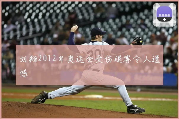 刘翔2012年奥运会受伤退赛令人遗憾