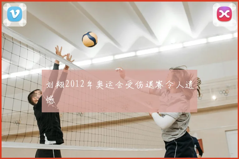 刘翔2012年奥运会受伤退赛令人遗憾