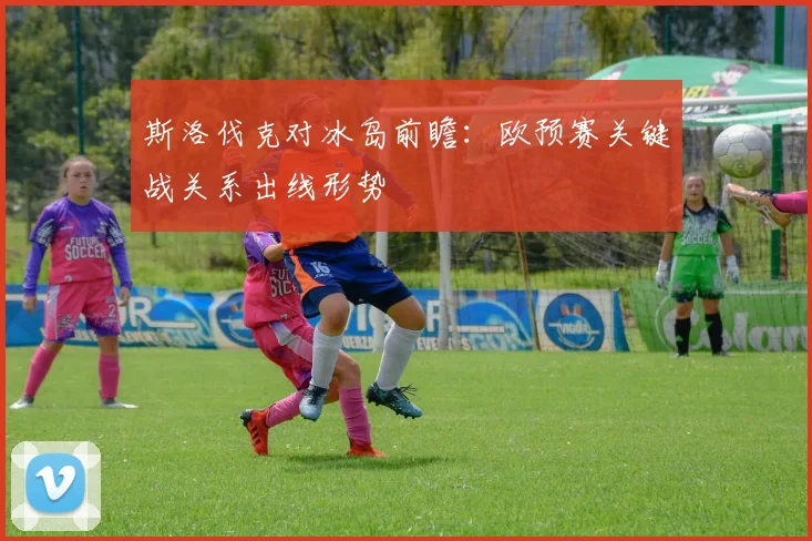 斯洛伐克对冰岛前瞻：欧预赛关键战关系出线形势