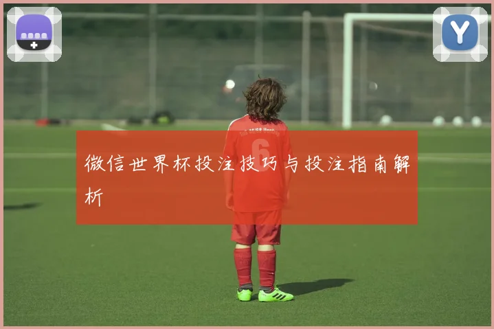 微信世界杯投注技巧与投注指南解析