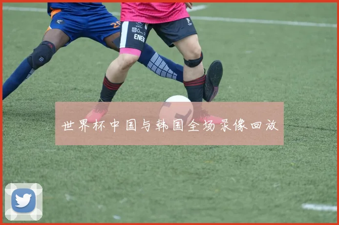 世界杯中国与韩国全场录像回放